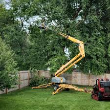 Best Utility Line Clearance  in Goshen, CA